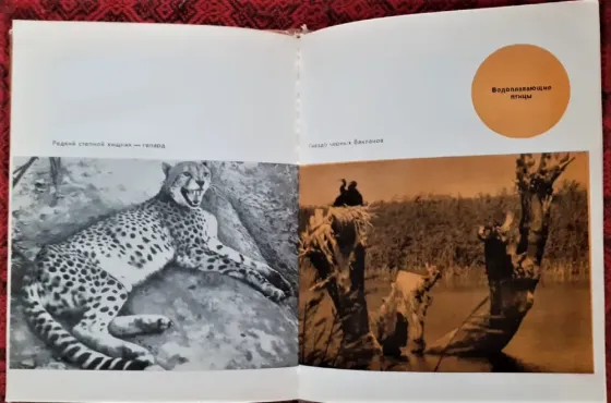 Книга Охотничьи угодья Казахстана. 1977  Қостанай 