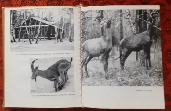 Книга Охотничьи угодья Казахстана. 1977  Қостанай 