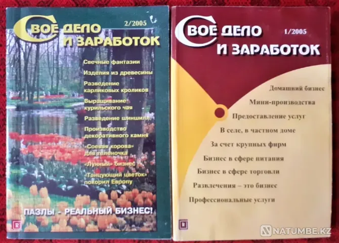 Сіздің бизнесіңіз бен кірістеріңізді журналға шығарыңыз  Қостанай  - изображение 2