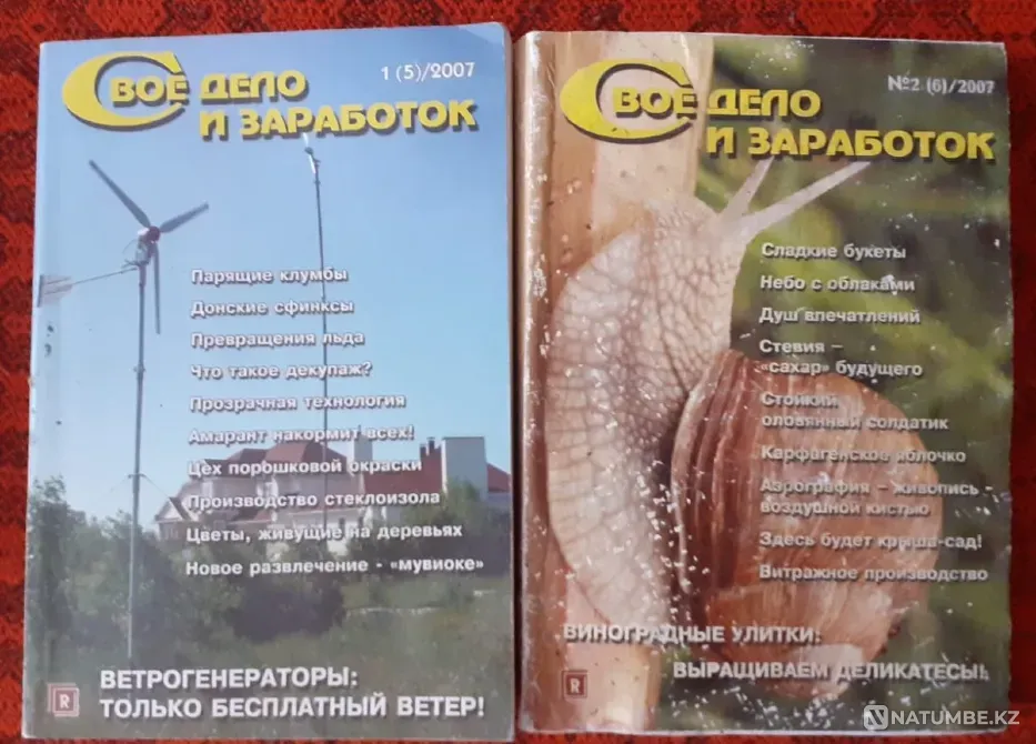 Журнал Свое дело и заработок Костанай - изображение 4