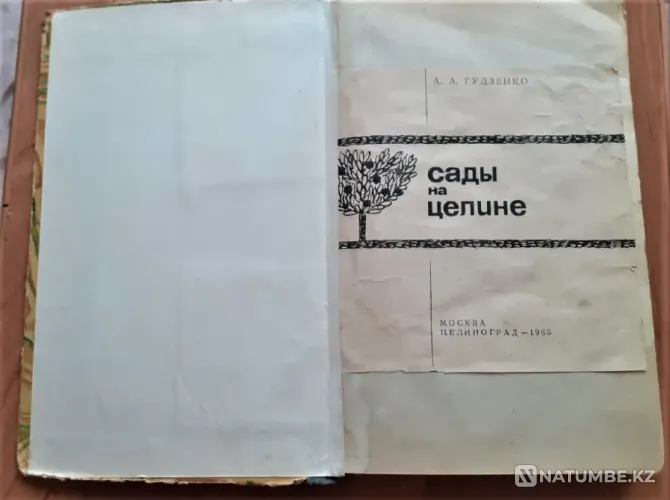 Гудзенко А.А. Тың жерлердегі бақтар. 1965  Қостанай  - изображение 2
