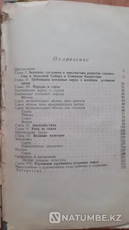 Гудзенко А.А. Тың жерлердегі бақтар. 1965  Қостанай  - изображение 6