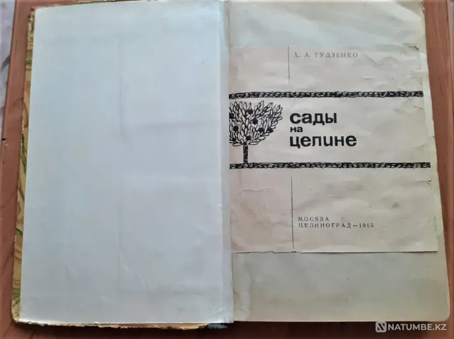 Gudzenko A.A. Gardens on virgin lands. 1965 Kostanay - photo 2