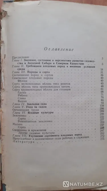 Gudzenko A.A. Gardens on virgin lands. 1965 Kostanay - photo 6