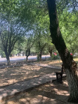 1-комнатная квартира Taraz