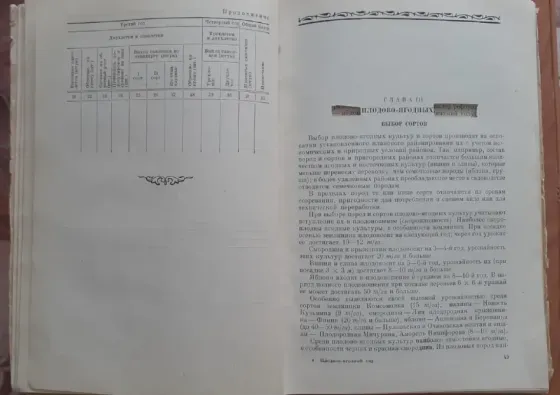 Плодово-ягодный сад и питомник 1953 г Костанай