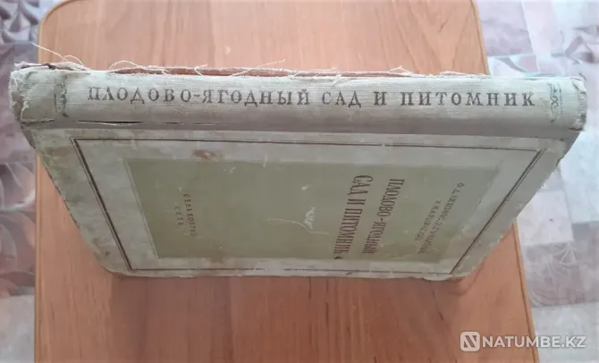 Плодово-ягодный сад и питомник 1953 г Костанай - изображение 11