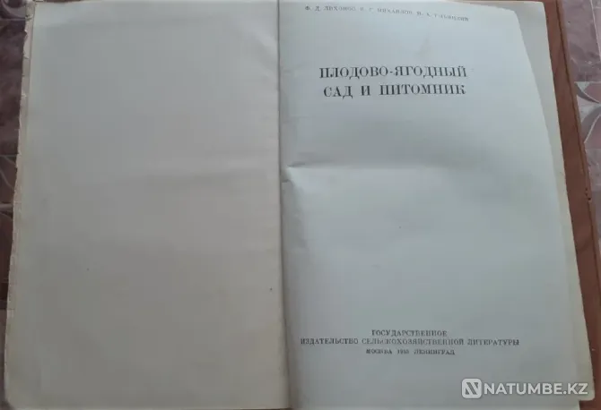 Плодово-ягодный сад и питомник 1953 г Костанай - изображение 2