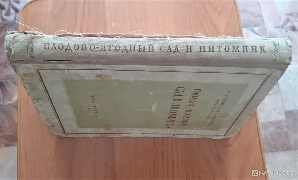 Плодово-ягодный сад и питомник 1953 г Костанай - изображение 11
