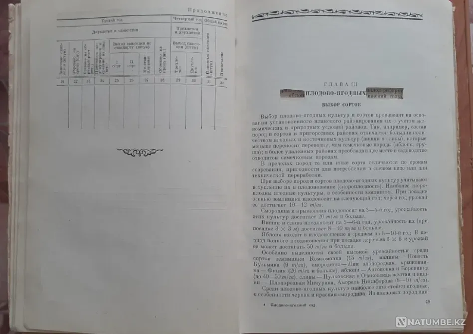 Плодово-ягодный сад и питомник 1953 г Костанай - изображение 6
