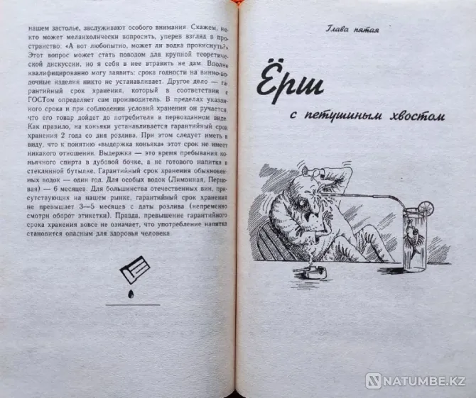 Health with beer and the science of drinking Almaty - photo 7