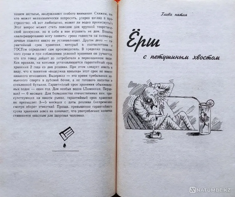 Сырамен денсаулық және ішу ғылымы  Алматы - изображение 7