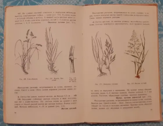 Что растет вокруг тебя. Учпедгиз, 1959г Kostanay