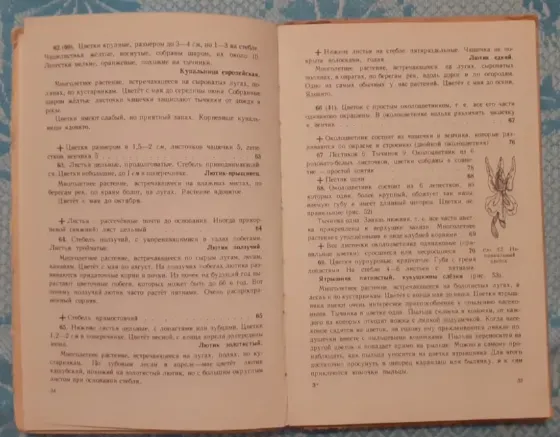 Что растет вокруг тебя. Учпедгиз, 1959г Kostanay