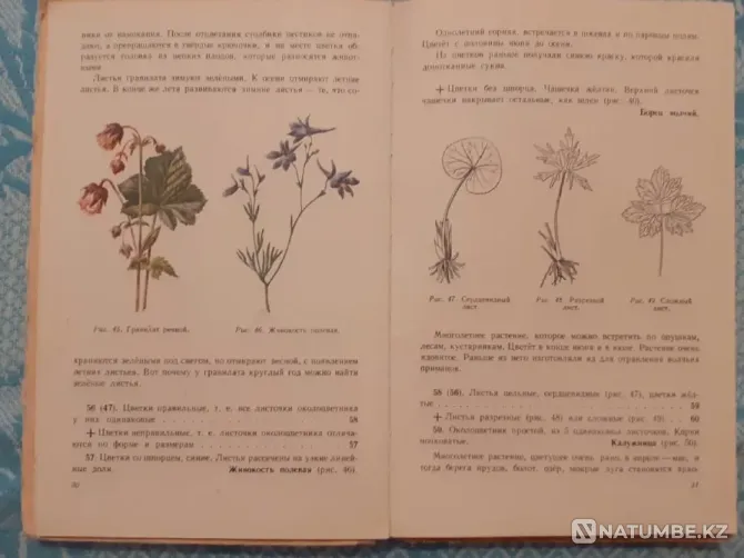 What grows around you. Uchpedgiz, 1959 Kostanay - photo 5