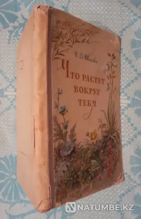 What grows around you. Uchpedgiz, 1959 Kostanay - photo 10