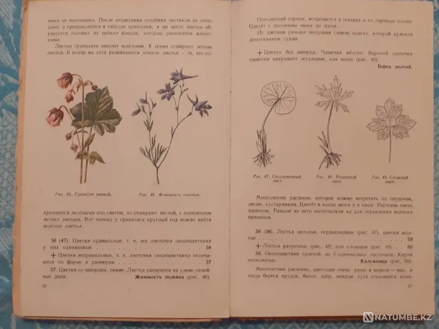 What grows around you. Uchpedgiz, 1959 Kostanay - photo 5