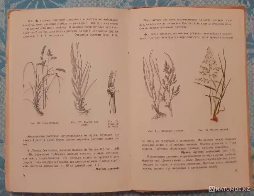 What grows around you. Uchpedgiz, 1959 Kostanay - photo 4