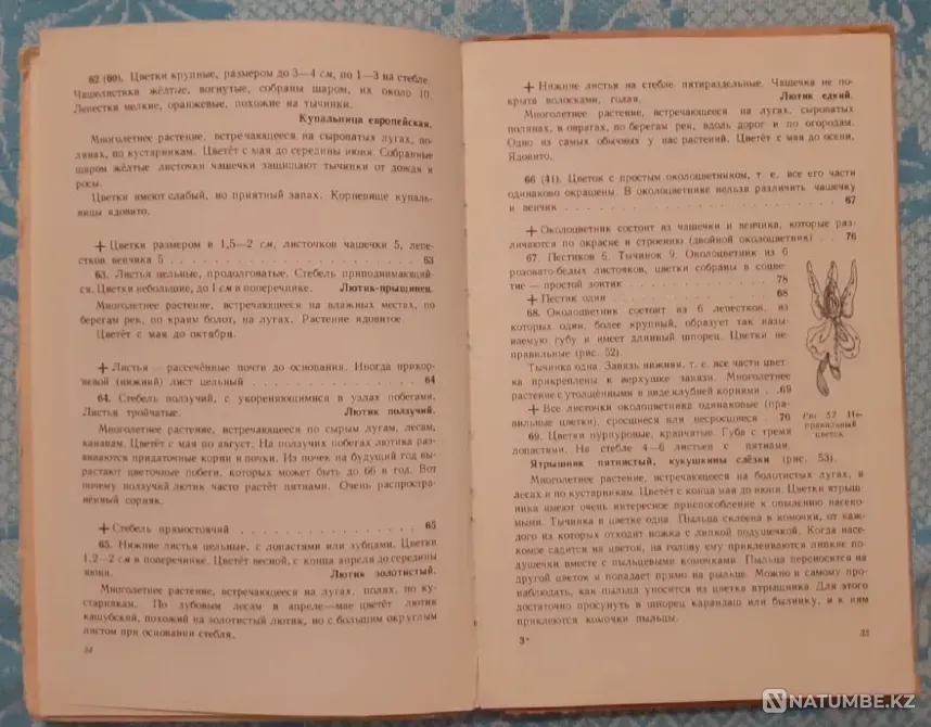 What grows around you. Uchpedgiz, 1959 Kostanay - photo 6