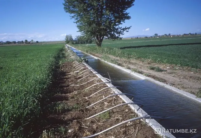 We will make trays for watering Ust-Kamenogorsk - photo 1