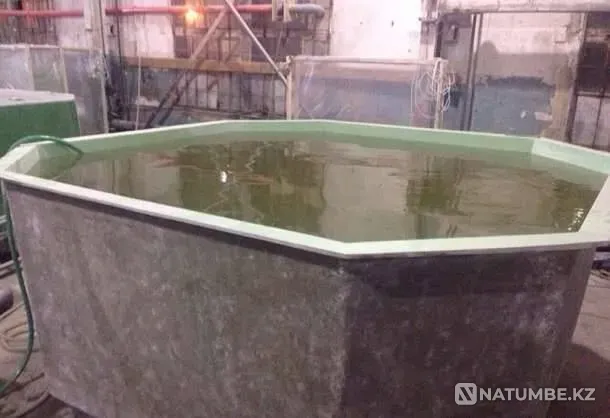 Pools for breeding fish, crayfish, etc. Ust-Kamenogorsk - photo 3