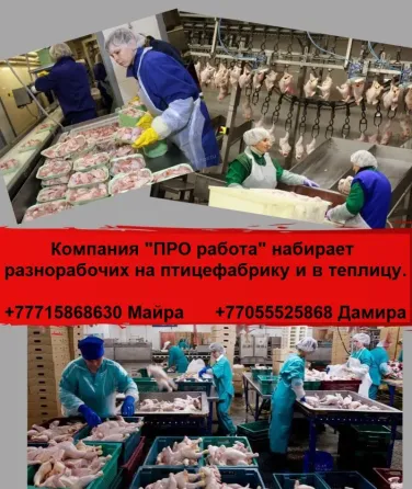 Компания ПРО работа ищет разнорабочих  Алматы