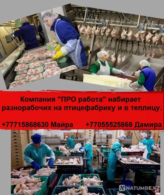 PRO rabota company is looking for general workers Almaty - photo 2