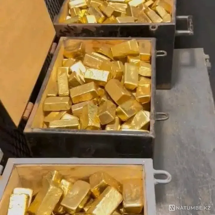 Diamonds and Gold Karagandy - photo 2