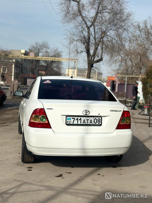 Toyota Corolla  2006    года Шу - изображение 3