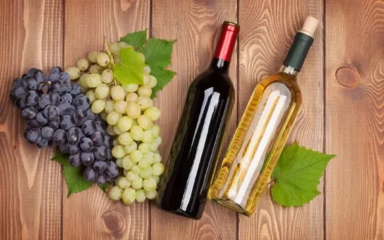 Wine bottling equipment Astana