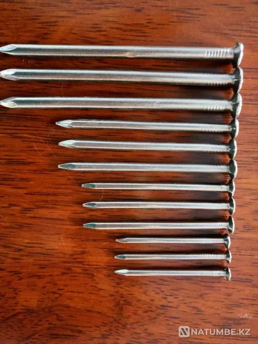 Nail production line Astana - photo 1