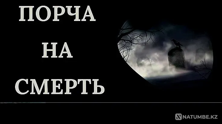 Almaty! Damage to the Death of the Offender Almaty - photo 1