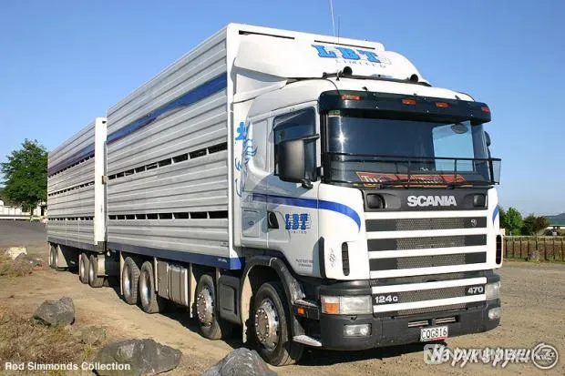 10 ton transportation service Almaty - photo 1