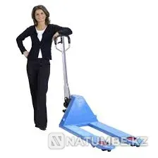 Услуги рохли Алматы - изображение 1