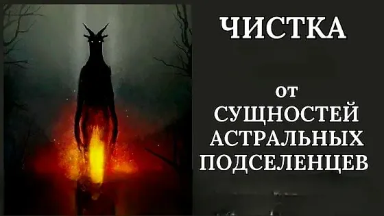 Shymkent! Removal of Corruption (Entities) Shymkent