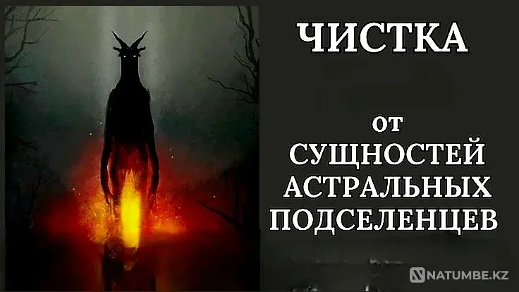 Shymkent! Removal of Corruption (Entities) Shymkent - photo 1