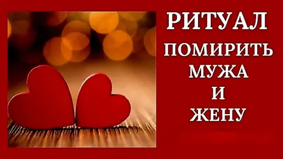 Petropavlovsk! Reconciliation of Spouses Petropavlovsk
