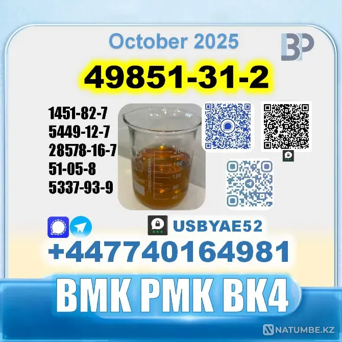49851-31-2 2-Bromovalerophenone Factory Москва - изображение 5