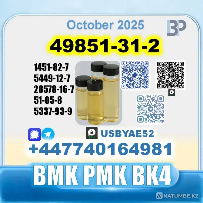 49851-31-2 2-Bromovalerophenone Factory Москва - изображение 10