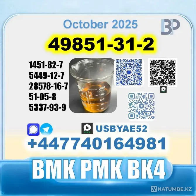 49851-31-2 2-Bromovalerophenone Factory Москва - изображение 8