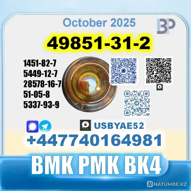 49851-31-2 2-Bromovalerophenone Factory Москва - изображение 3