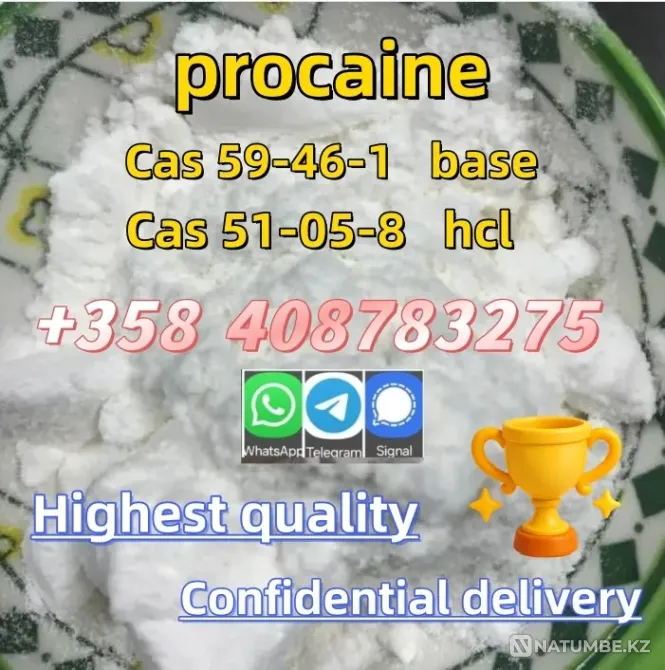 Order Procaine Cas59-46-1 Procaine Base Moscow - photo 2