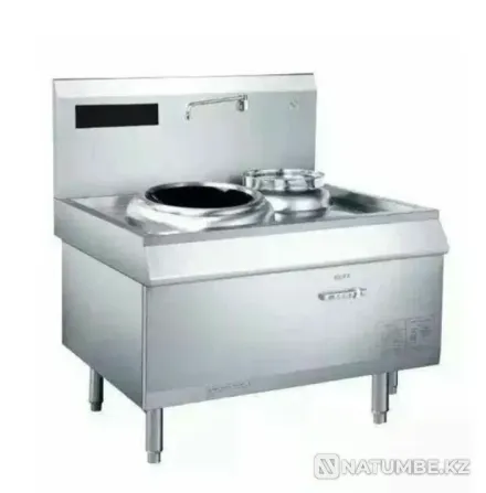 Professional induction cooker for Almaty - photo 1