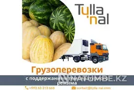 Tylla Nal Almaty - photo 1