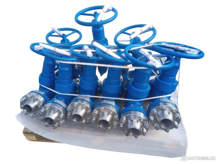 ООО"Нефтегазоборудование" Предлагает ЗМС Shumikha - photo 2