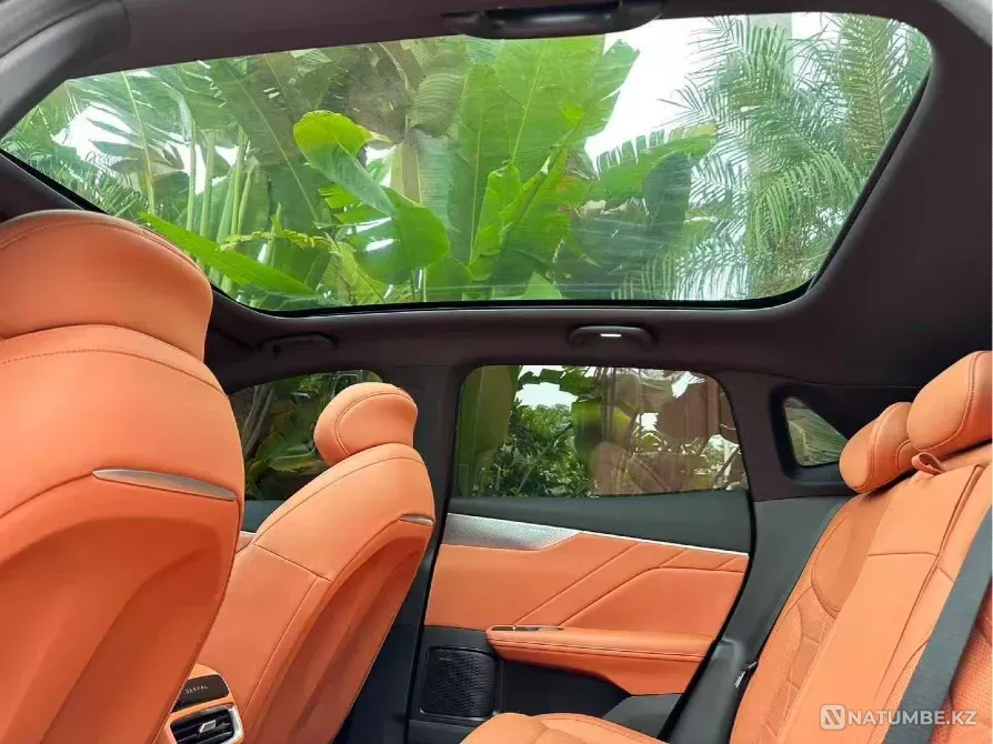 2024 Deepal SO5 Almaty - photo 6