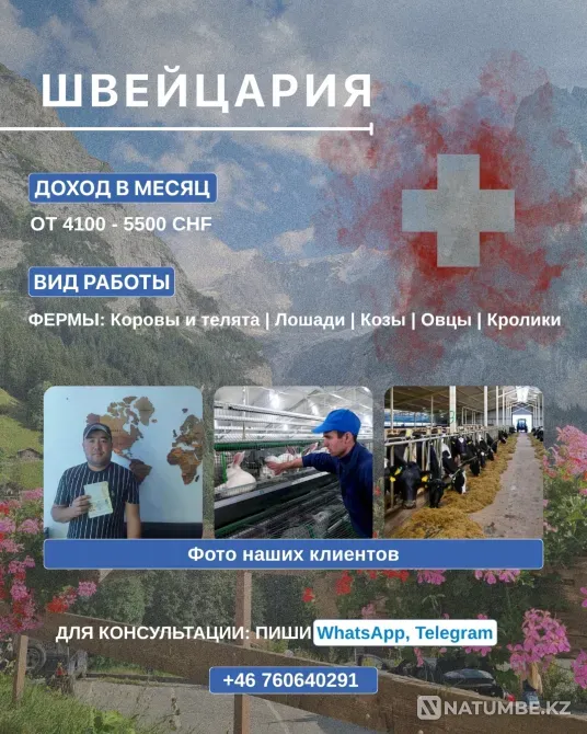 Работа на ферме в Швейцарии Астана - изображение 1