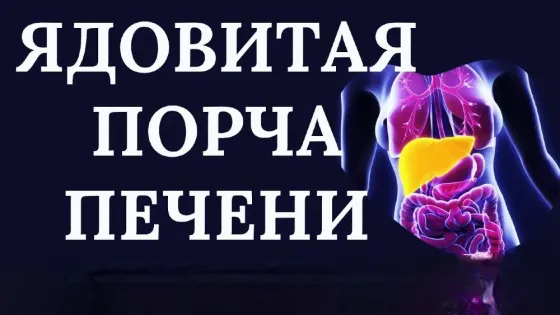 Актау! Ядовитая Порча Печени (Окология Aqtau