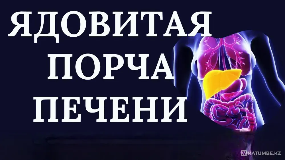 Актау! Ядовитая Порча Печени (Окология  Ақтау  - изображение 1