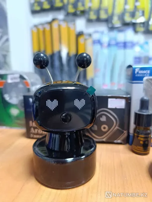 Аксессуары ароматизаторы Astana - photo 7